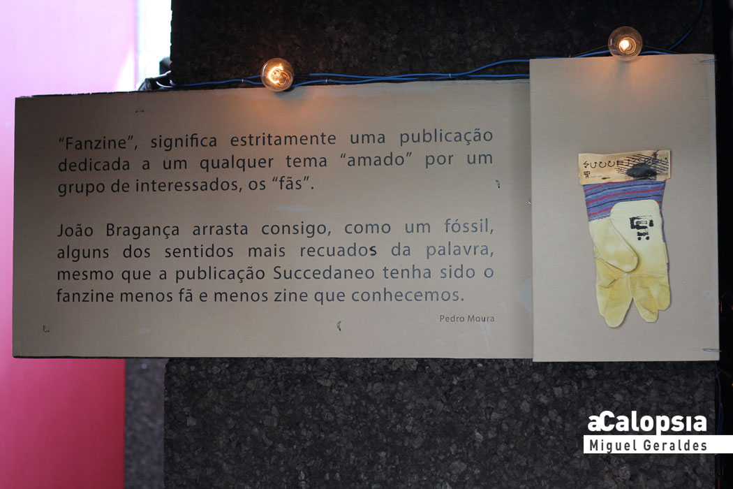 img_suc0414-008